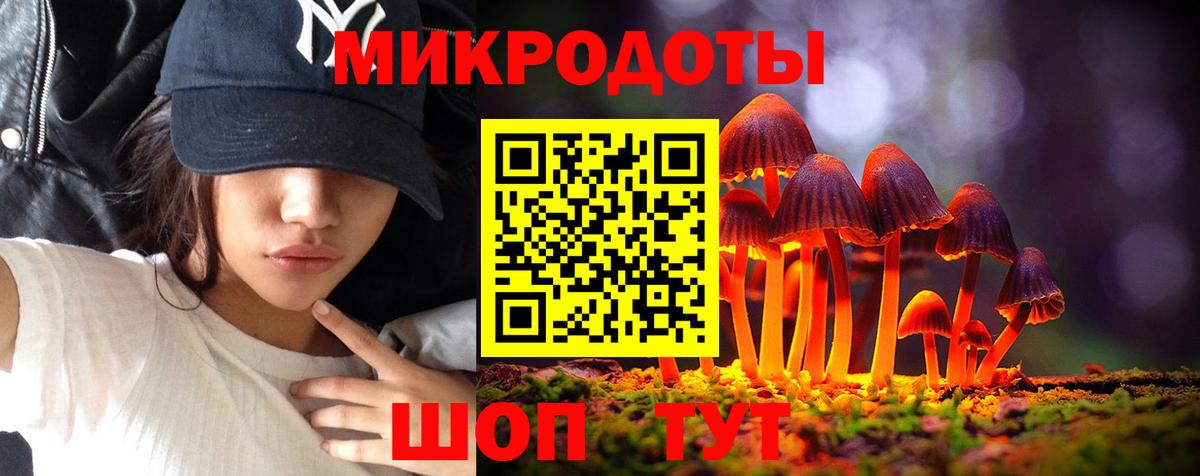 Галлюциногенные грибы Psilocybe  Галлюциногенные грибы мухоморы  Дальнегорск  Вход с VPN 